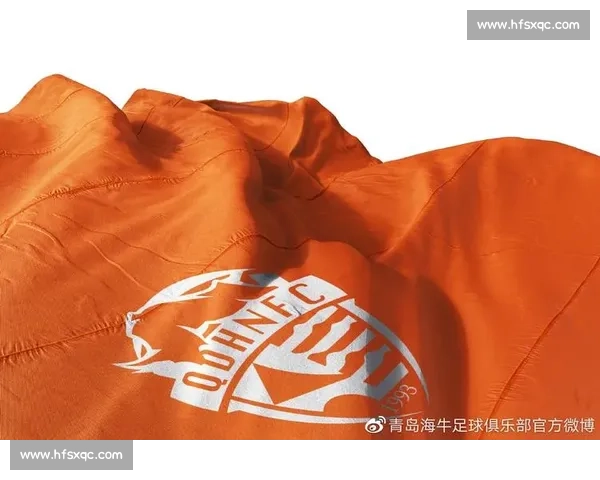 海港吉祥物悬而未决,球迷热议背后的期待与共鸣